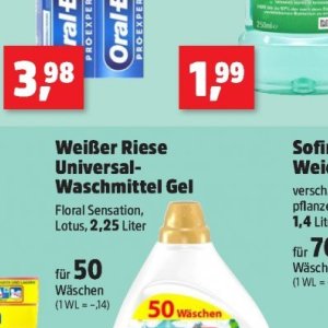 Gel bei Thomas Philipps
