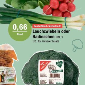 Radieschen bei Aktiv Irma