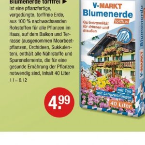 Pflanzen bei V-Markt