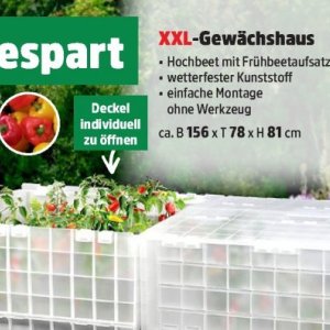Hochbeet bei Thomas Philipps