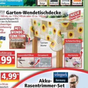 Sonnenblume bei Norma
