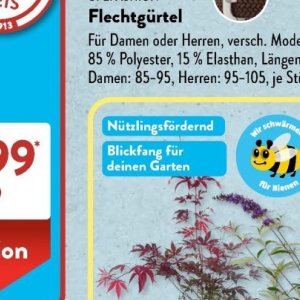 Garten bei Aldi SÜD