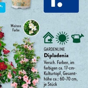 Gartengarnituren bei Aldi SÜD