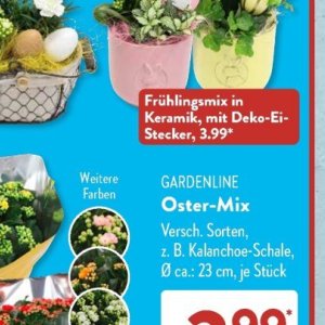 Gartengarnituren bei Aldi SÜD