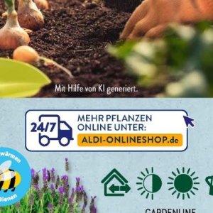 Pflanzen bei Aldi SÜD