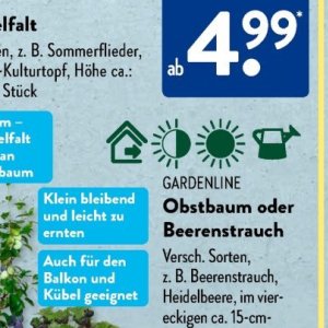 Gartengarnituren bei Aldi SÜD