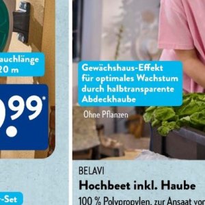 Pflanzen bei Aldi SÜD