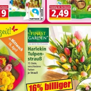 Pflanzen bei Norma