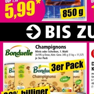 Champignons bei Norma