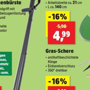 Gras bei Thomas Philipps