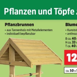 Pflanzen bei Thomas Philipps