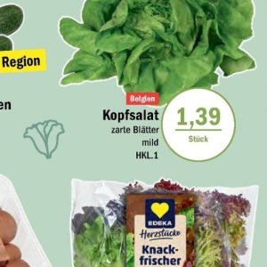 Kopfsalat bei Aktiv Irma