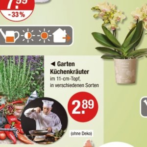Garten bei V-Markt
