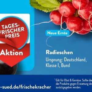 Radieschen bei Aldi SÜD