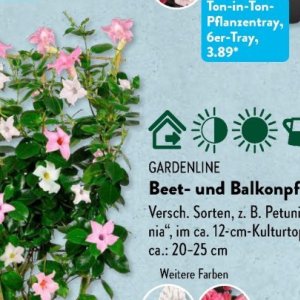 Gartengarnituren bei Aldi SÜD