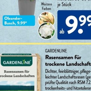 Gartengarnituren bei Aldi SÜD