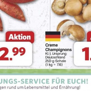 Champignons bei Famila Nord West