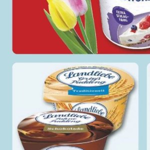 Pudding bei Famila Nord West