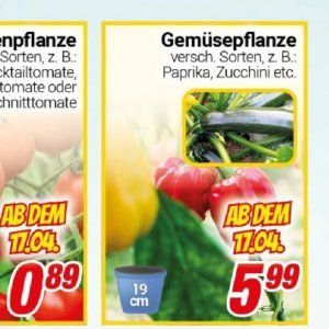 Paprika bei Centershop