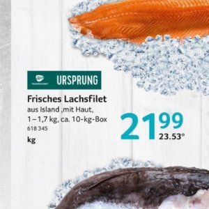 Lachsfilet bei Selgros