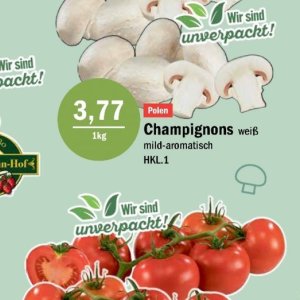 Champignons bei Aktiv Irma