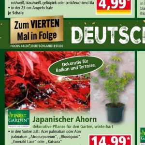 Balkon bei Norma
