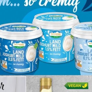 Joghurt bei Selgros