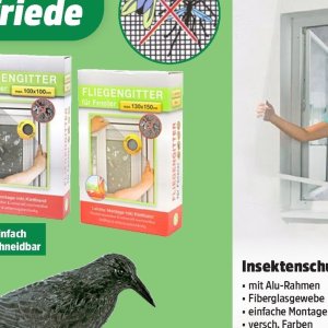 Fenster bei Thomas Philipps