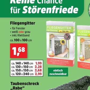 Fenster bei Thomas Philipps