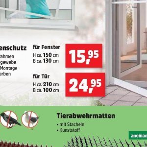 Fenster bei Thomas Philipps