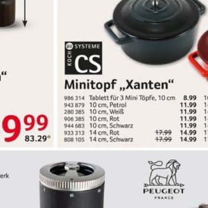 Tablett bei Selgros