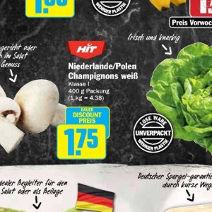 Champignons bei Hit