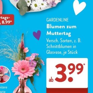 Vasen bei Aldi SÜD