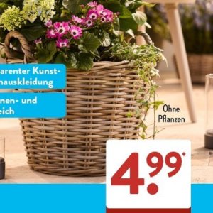 Pflanzen bei Aldi SÜD