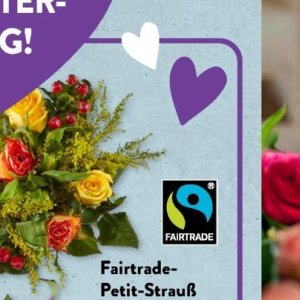Pflanzen bei Aldi SÜD