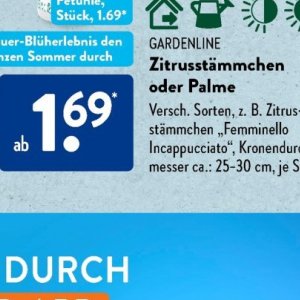 Messer bei Aldi SÜD