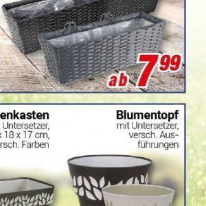 Blumentöpfe bei Centershop