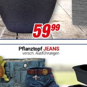 Jeans bei Centershop