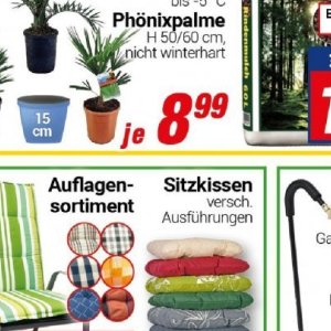 Sitzkissen bei Centershop