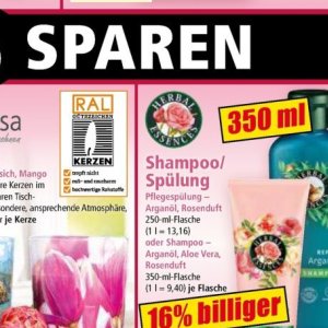 Shampoo bei Norma