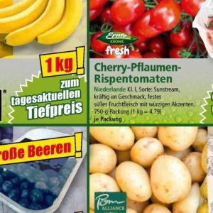  SES bei Norma