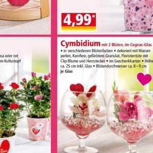 Glas bei Norma