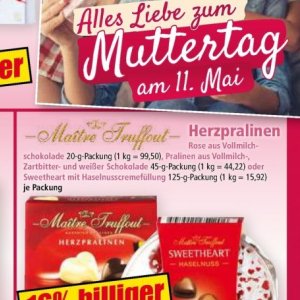 Rose bei Norma