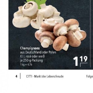 Champignons bei Citti Markt