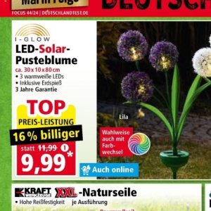 Top bei Norma