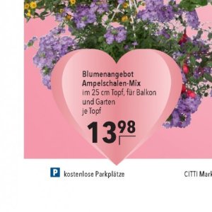 Garten bei Citti Markt