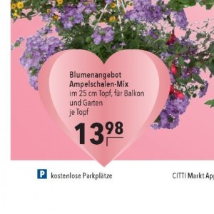 Garten bei Citti Markt