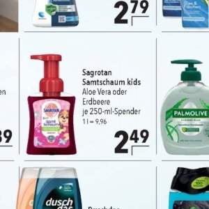 Aloe bei Citti Markt