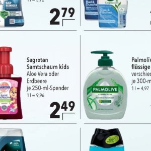 Aloe bei Citti Markt