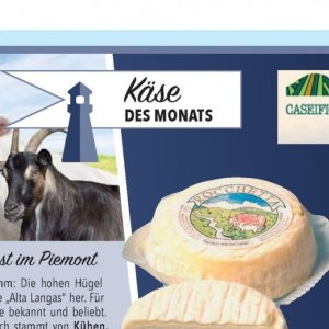 Käse bei Citti Markt